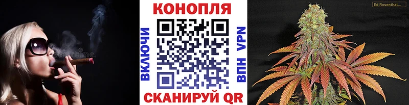 A PVP Горбатов