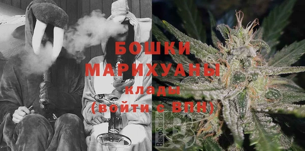 гидра Арсеньев