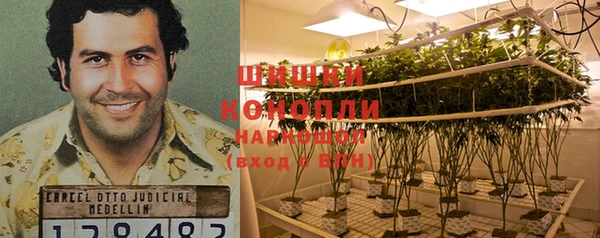 гидра Арсеньев
