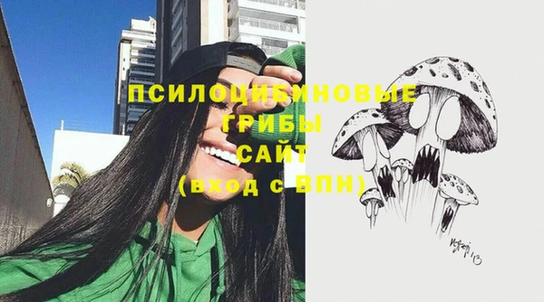гидра Арсеньев