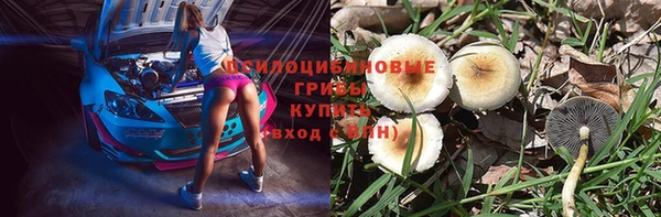 гидра Арсеньев