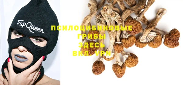 гидра Арсеньев
