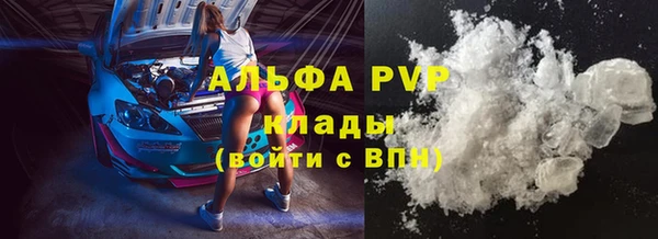 гидра Арсеньев