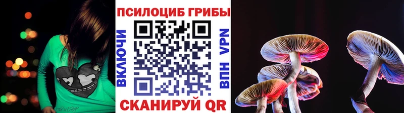 Купить где  Горбатов  Галлюциногенные грибы Magic Shrooms 
